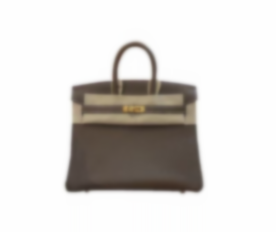 Birkin 25 (free shipping)