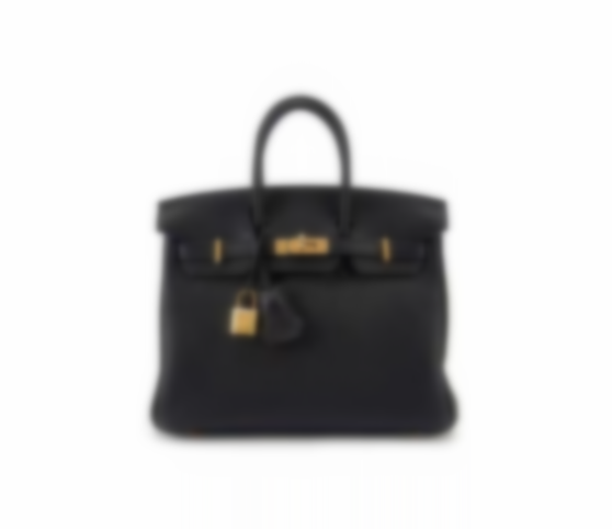Birkin 25 (free shipping)