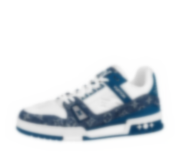 Trainer-02 (free shipping)