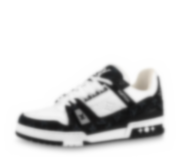 Trainer-01 (free shipping)