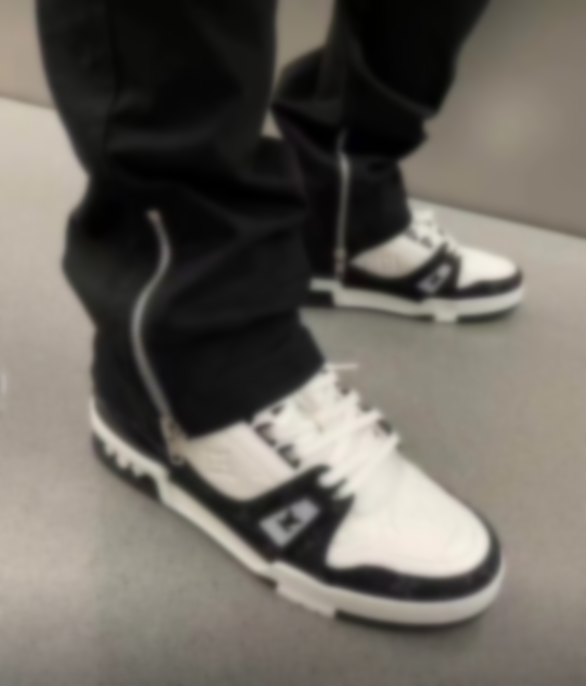 Trainer-01 (free shipping)